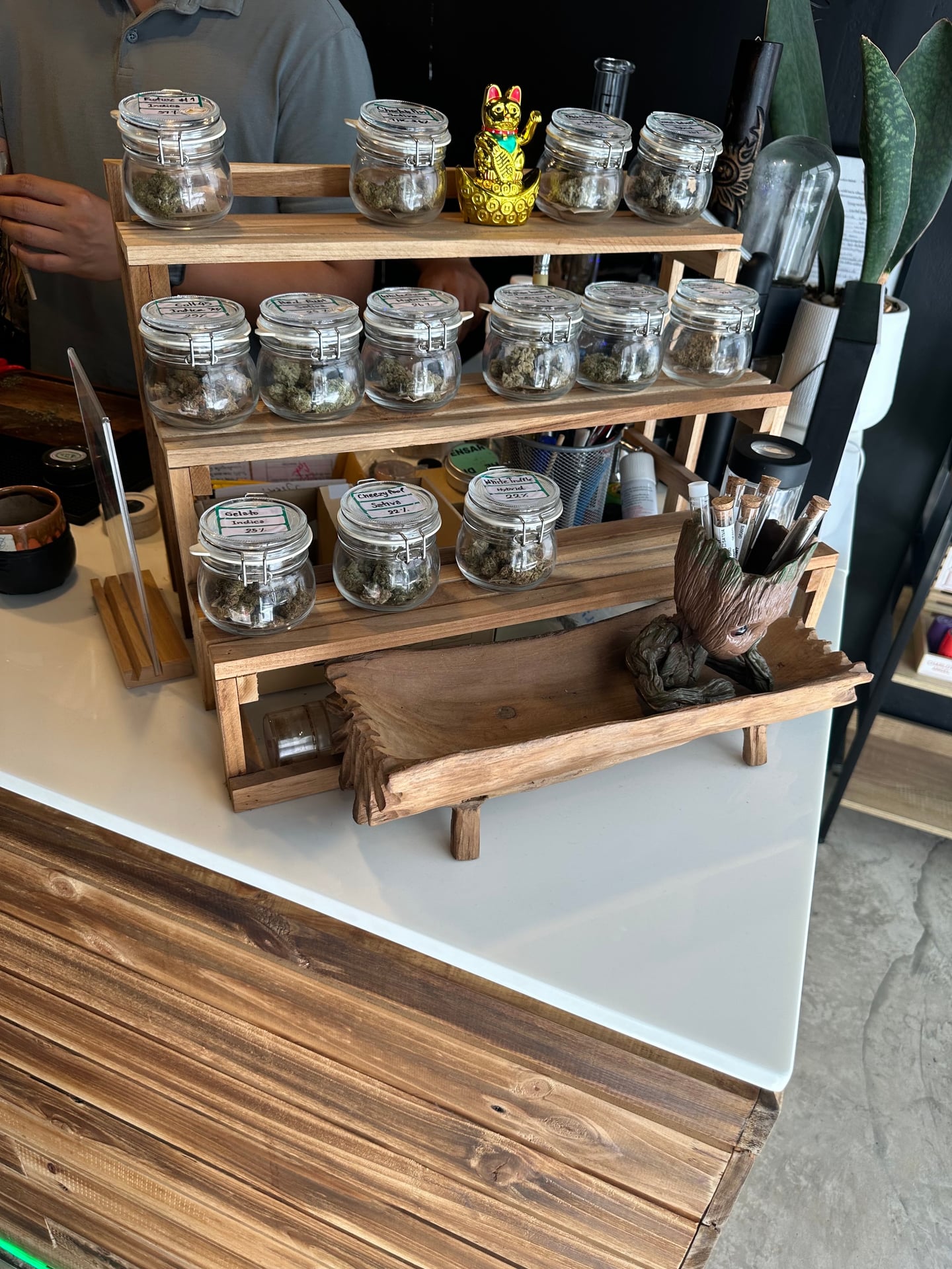 Inbloom Cannabis Cafe