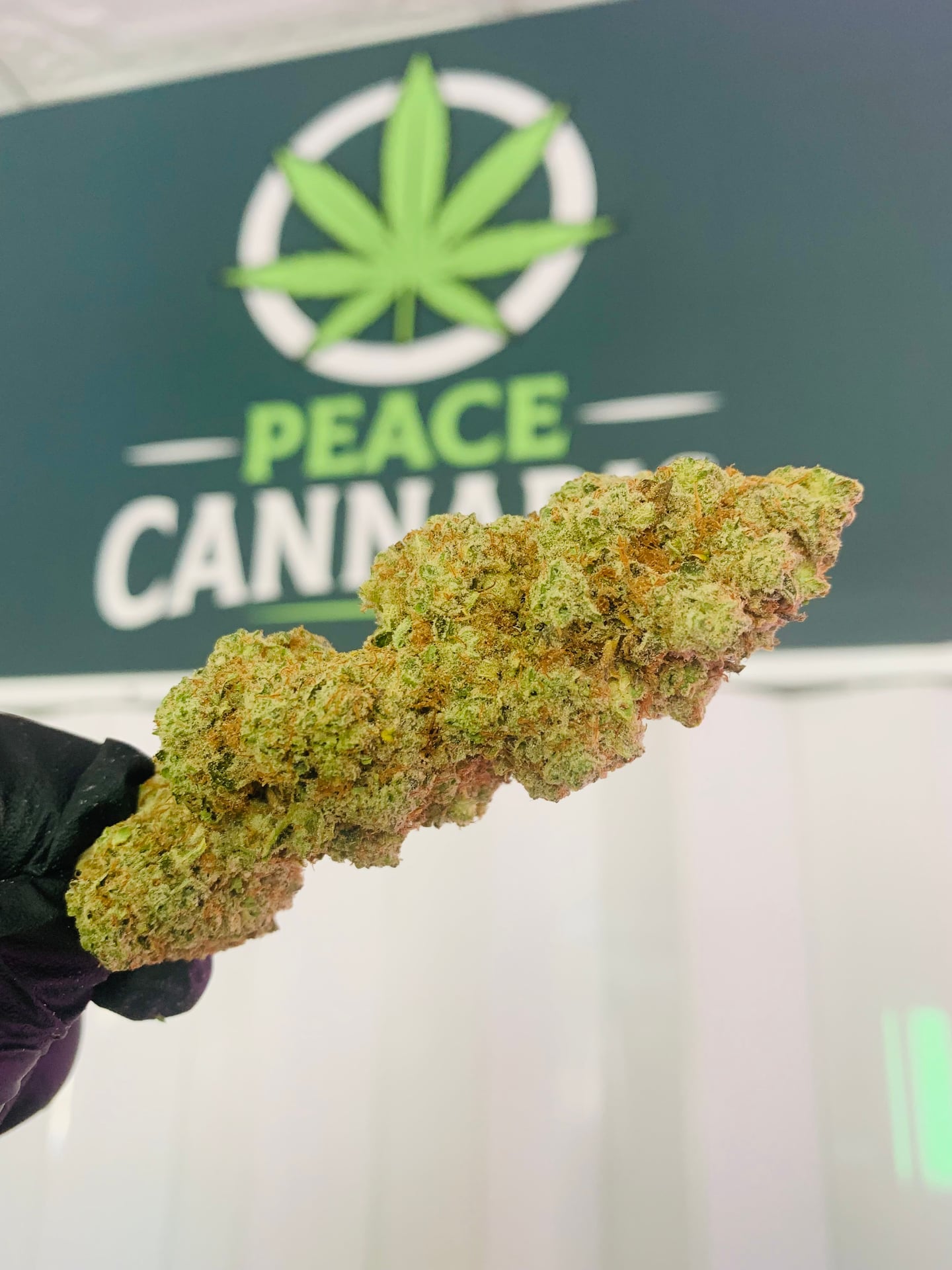 Peace Cannabis