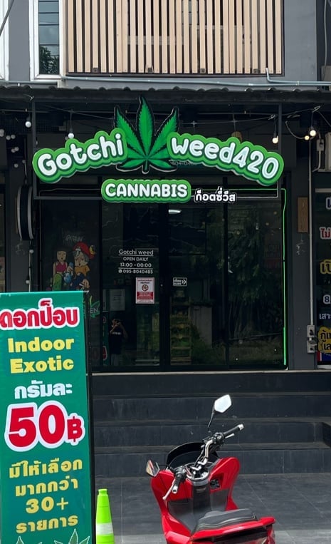 Gotchi Weed