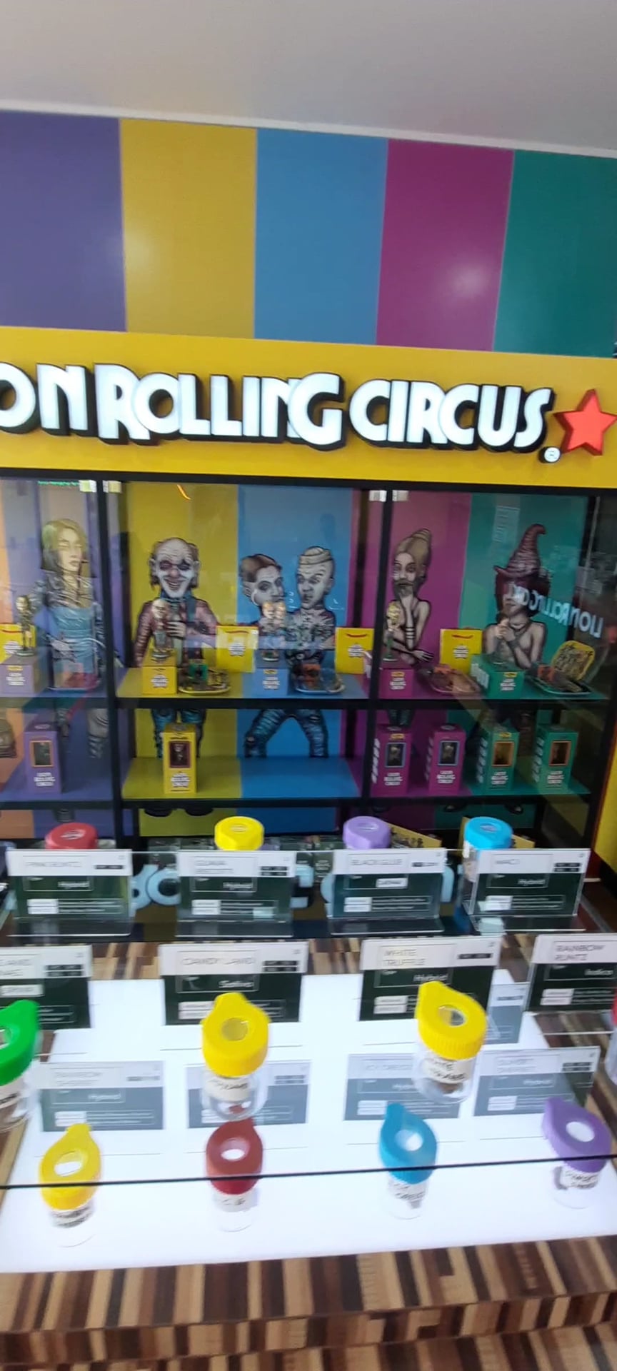 Lion Rolling Circus