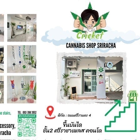 Cricket Sriracha - Cannabis