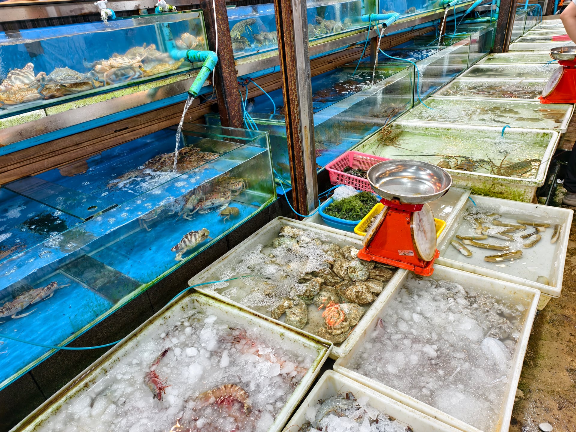 Phuket High - Rawai Seafood Market