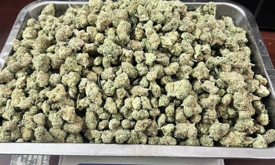Herb Lab