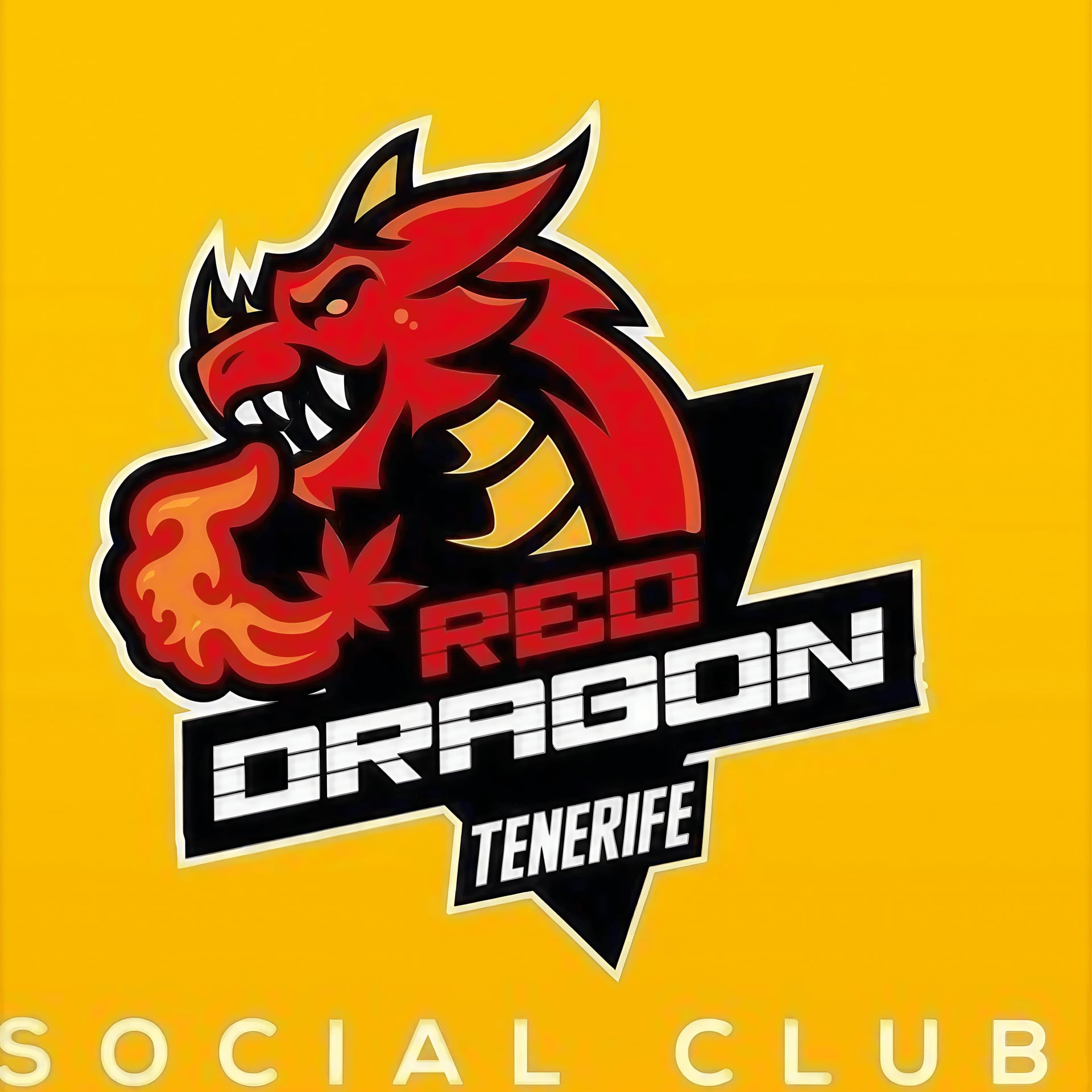 Red Dragon logo