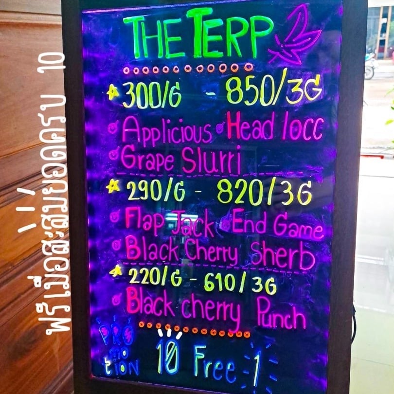 The Terp