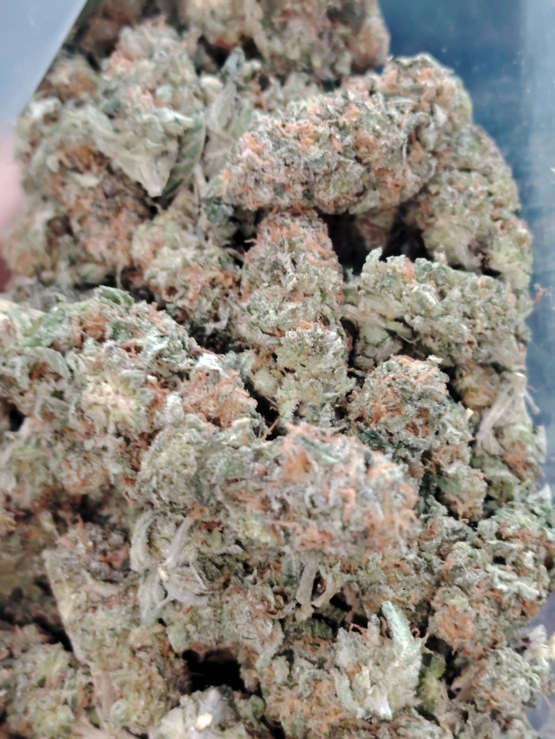 Thai Bud By Good Man Rangsit