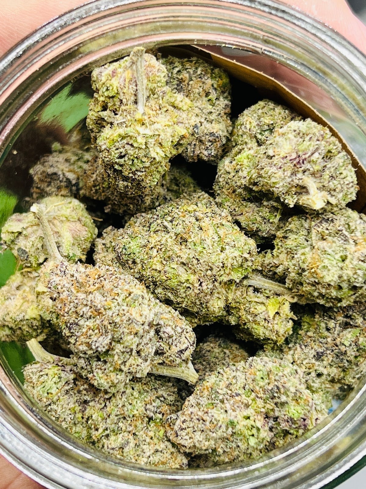 OMG Weed
