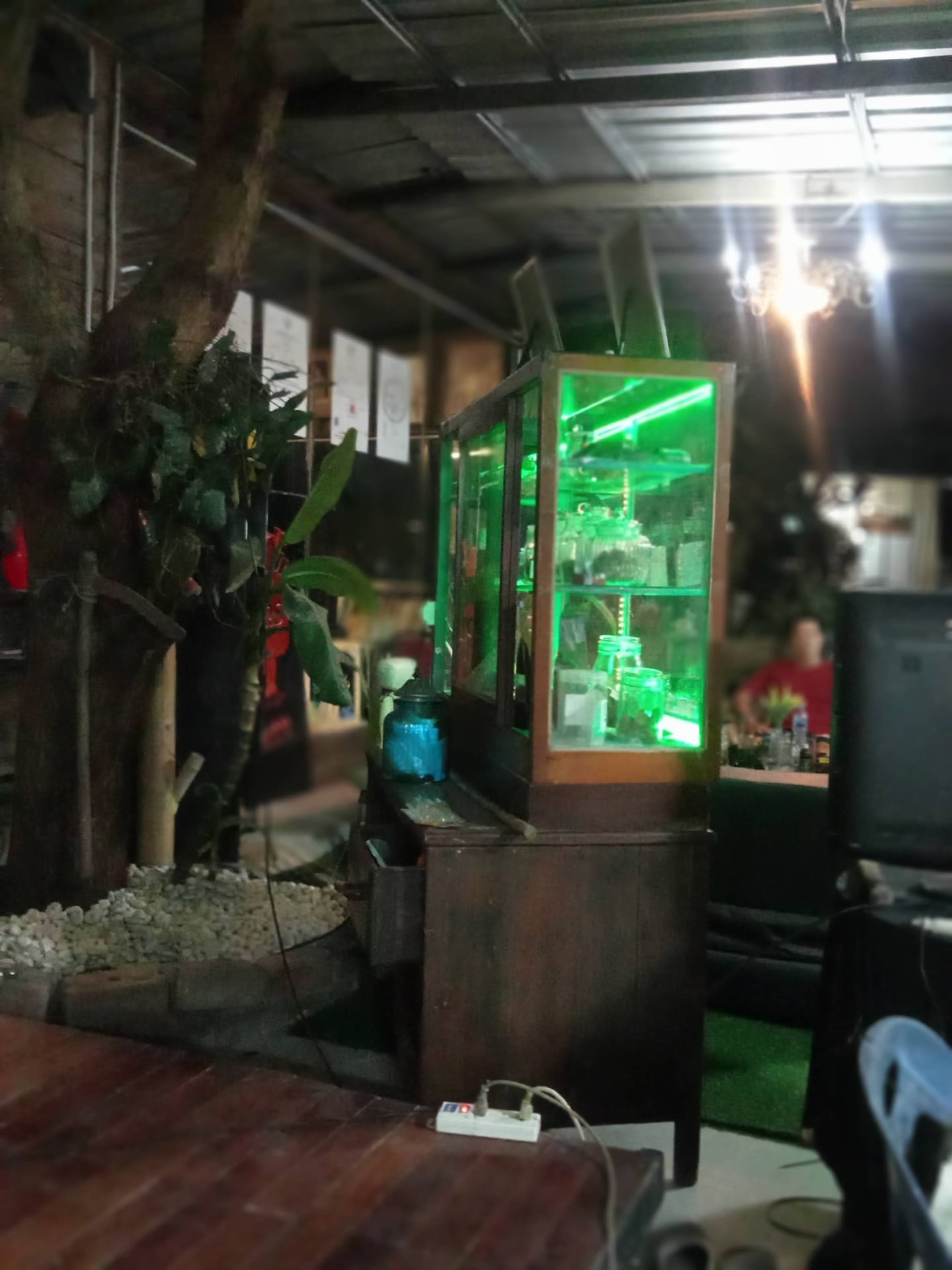 Wonder Weed