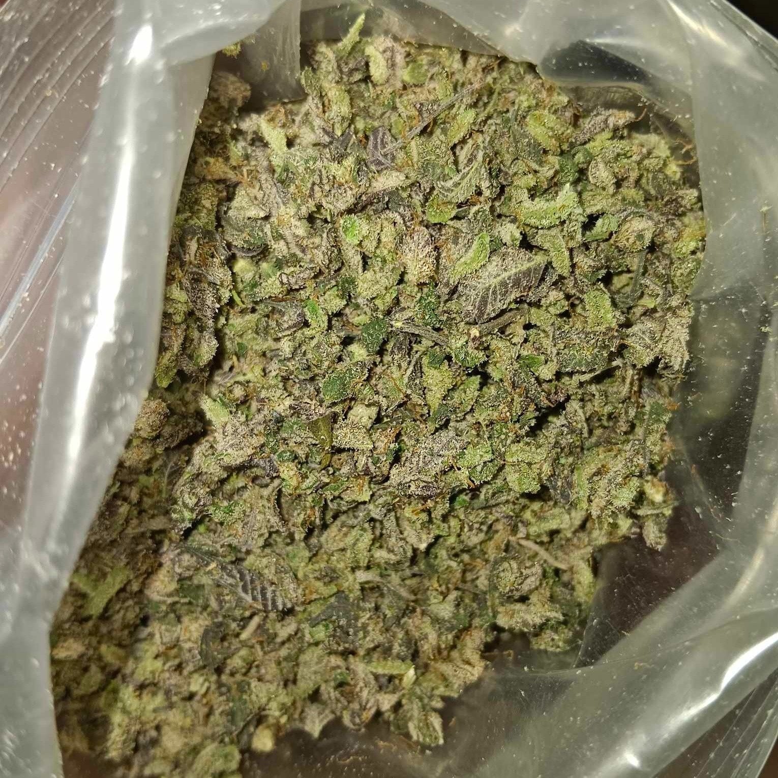 Dharmajati420