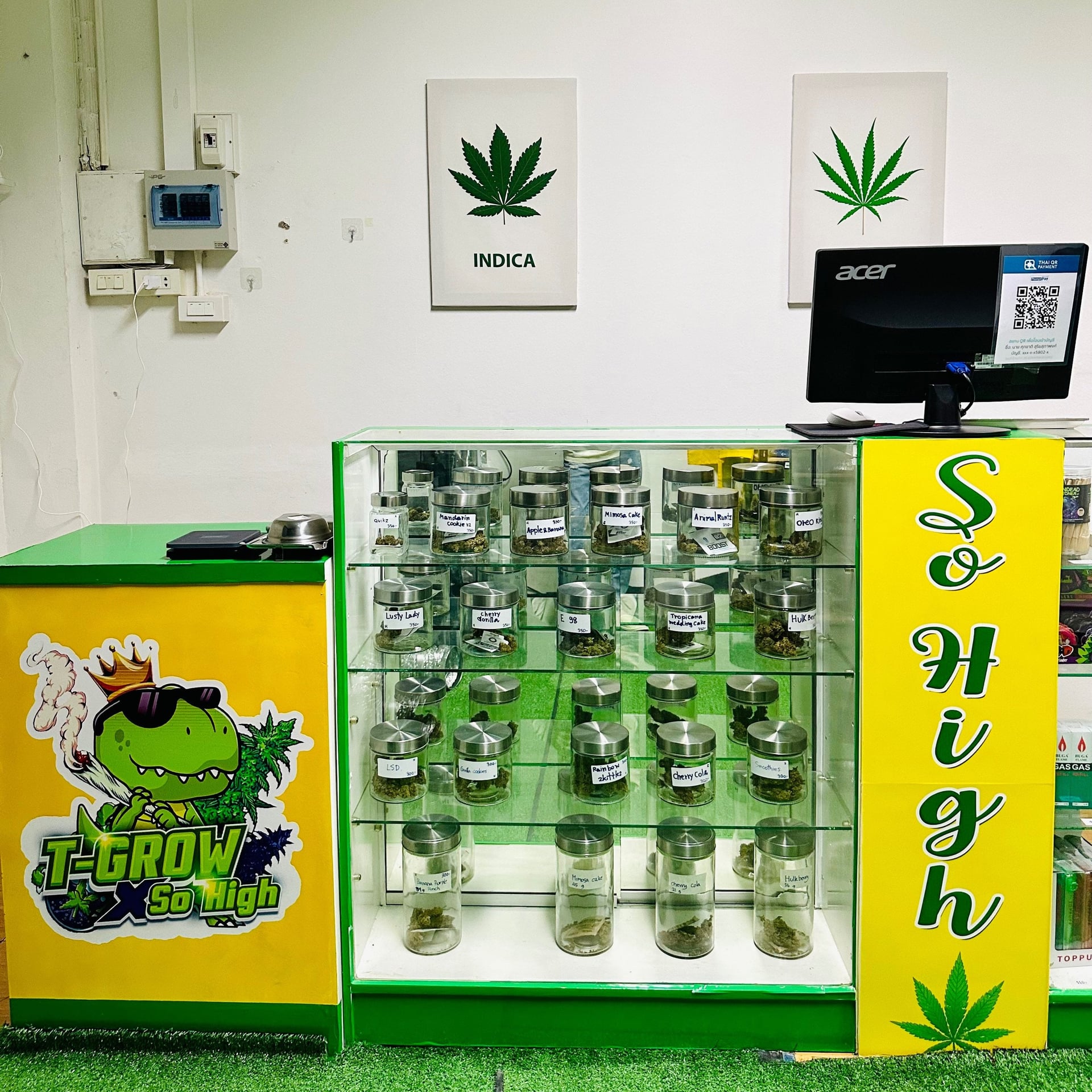 T-Grow X So High