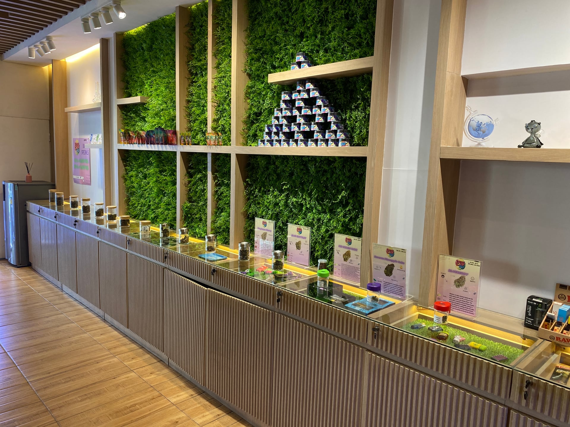 ZaZa Asia Cannabis Dispensary And