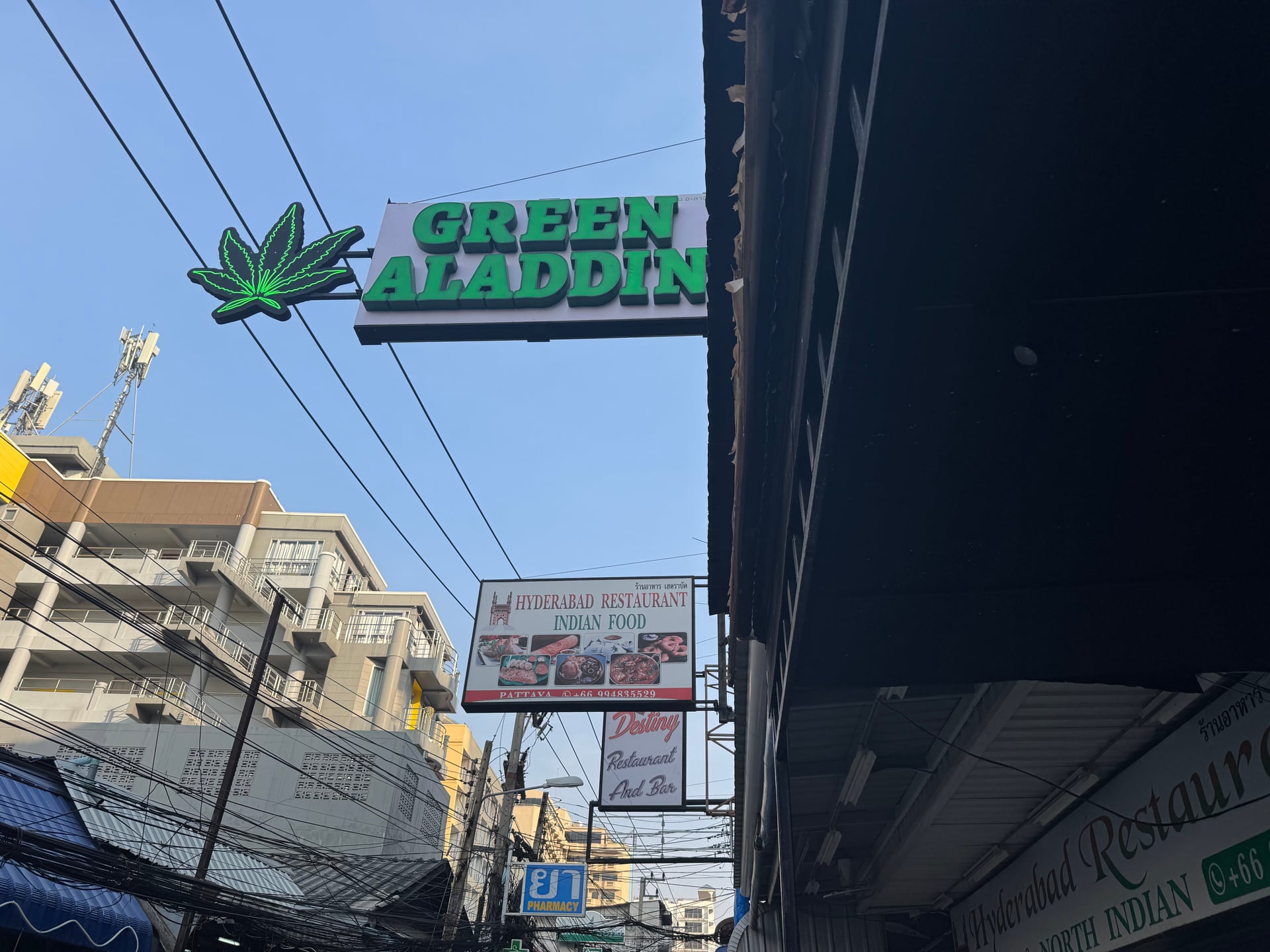 Green Aladdin