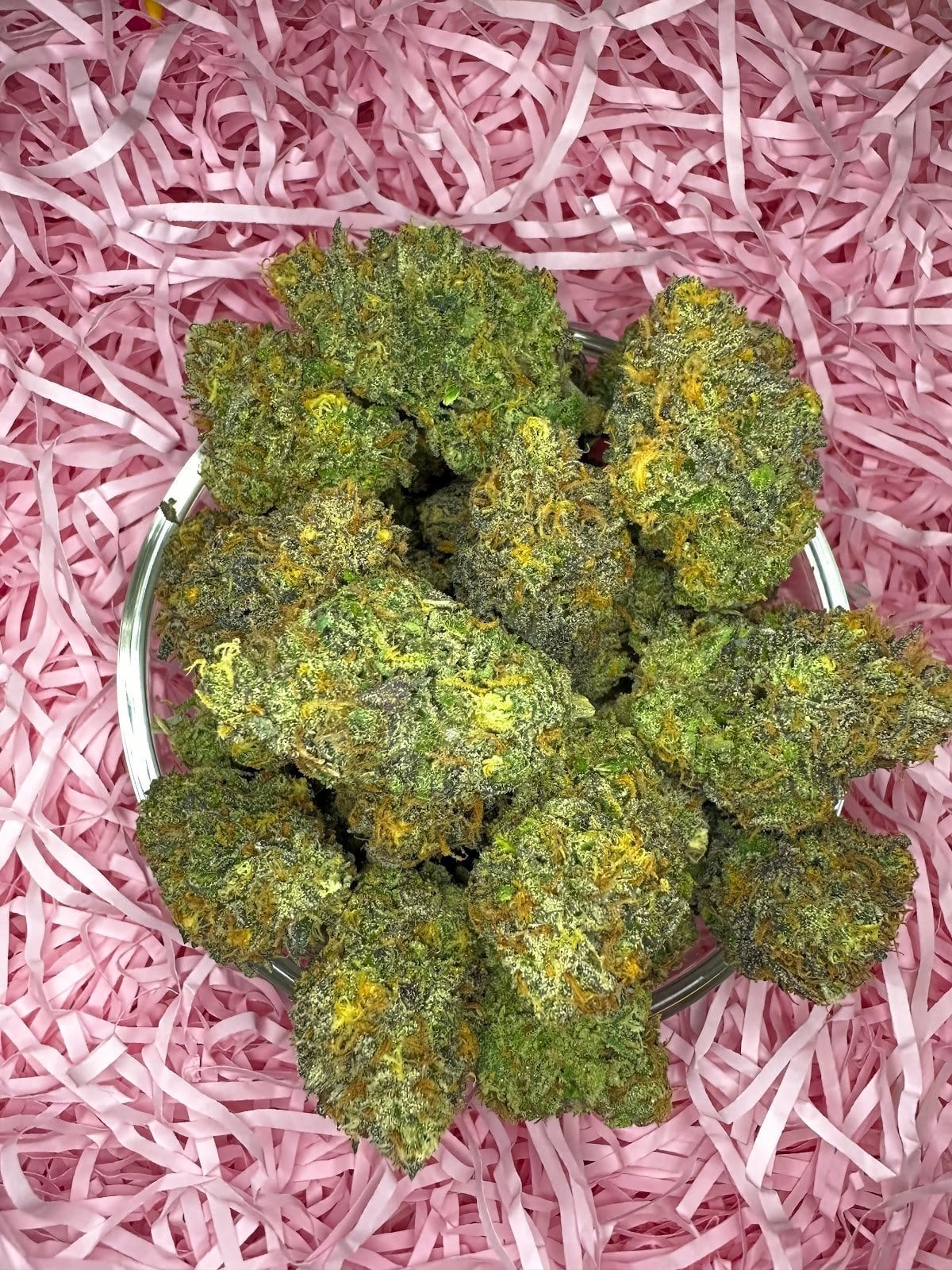 Khronic Genetics