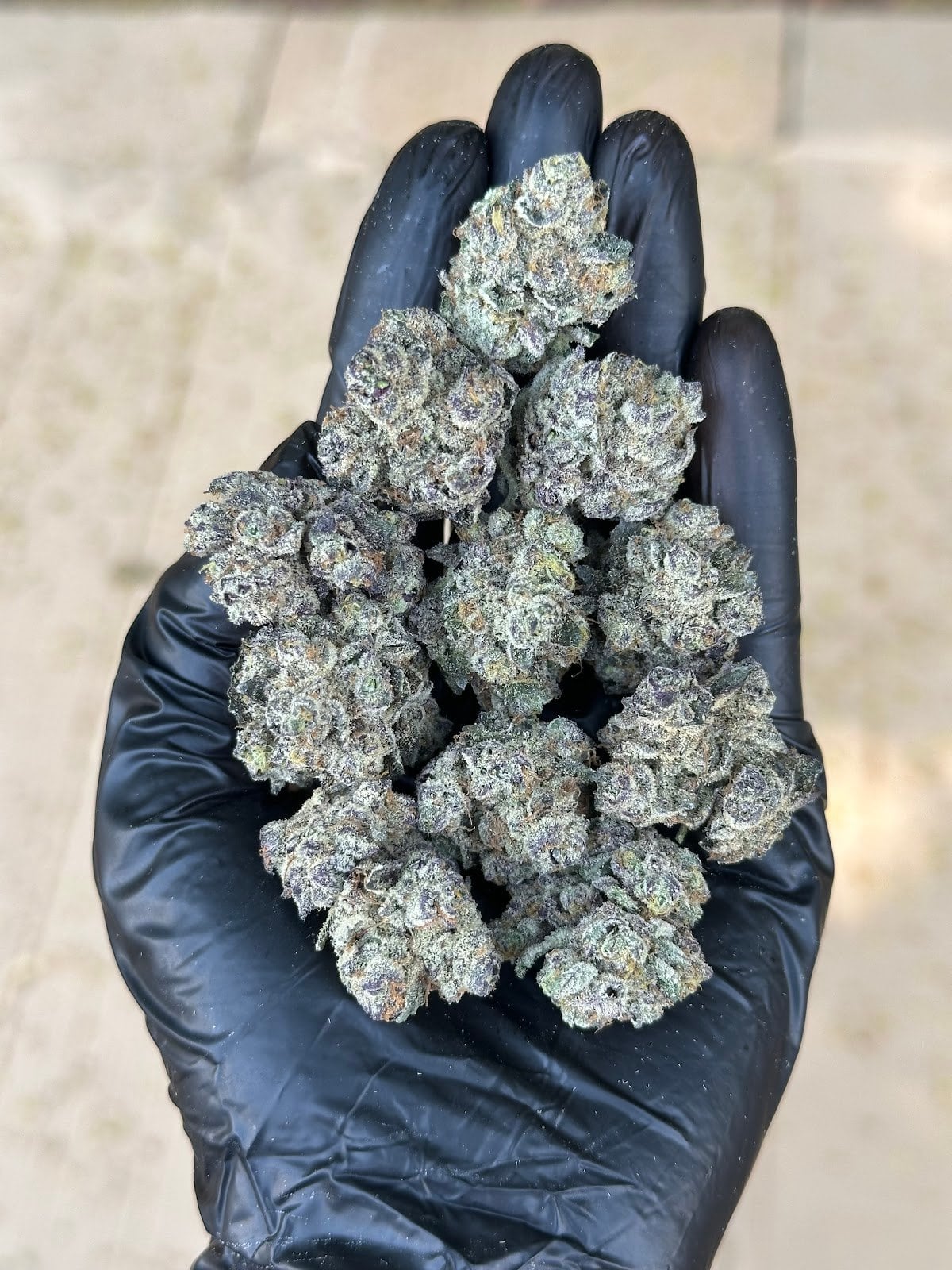 Sweet Cannabis