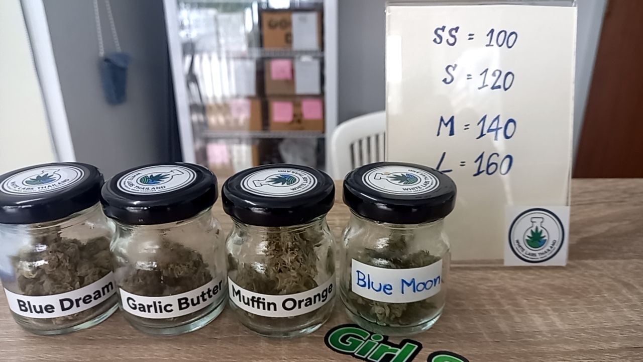 White Labs Cannabis Sriracha Chonburi Indoor Farm Direct