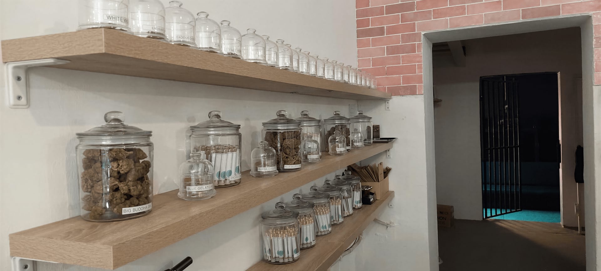Medicur Medical Cannabis Observatory