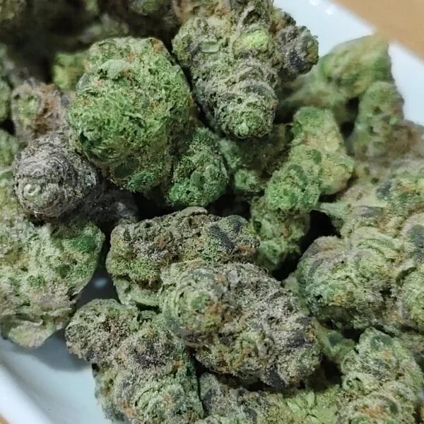 Cannabear