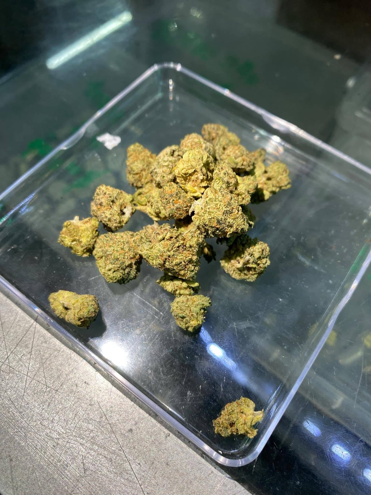 Ms Ganja