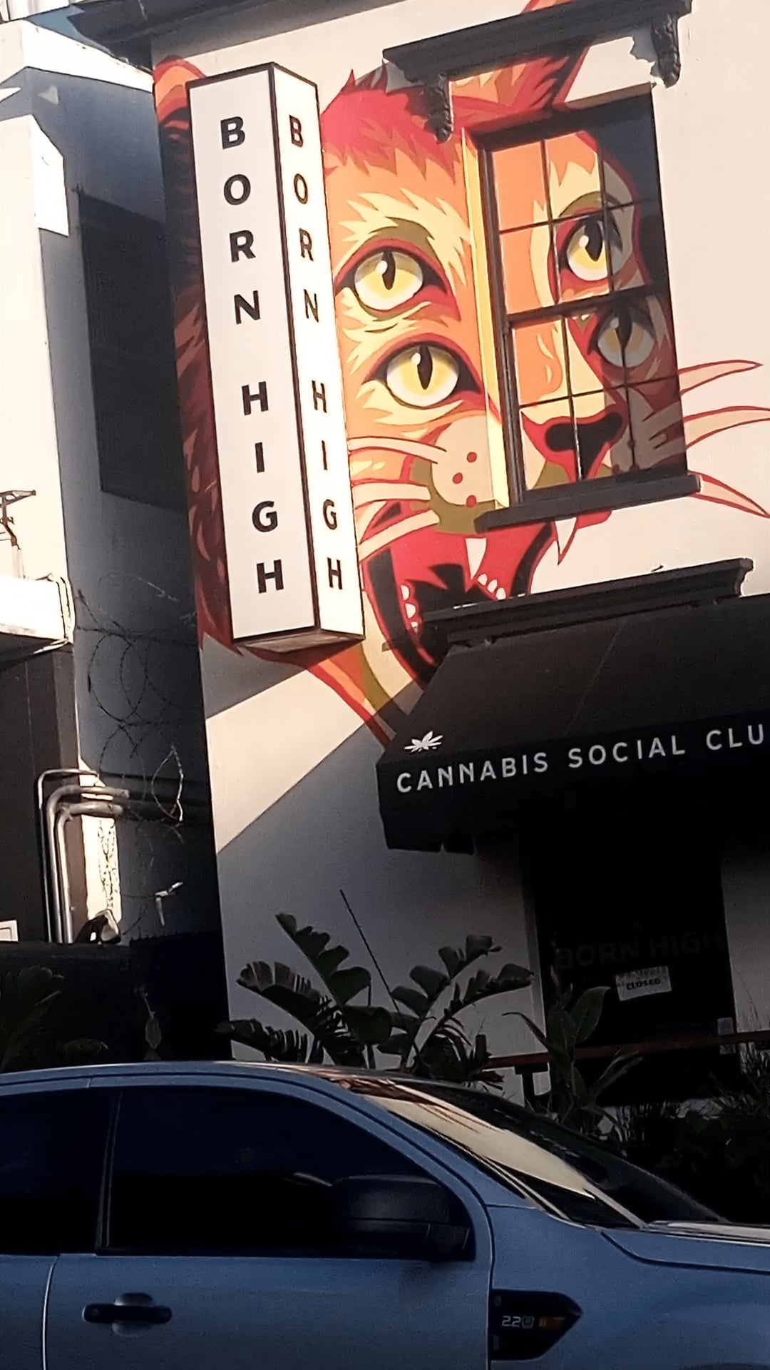 Born High