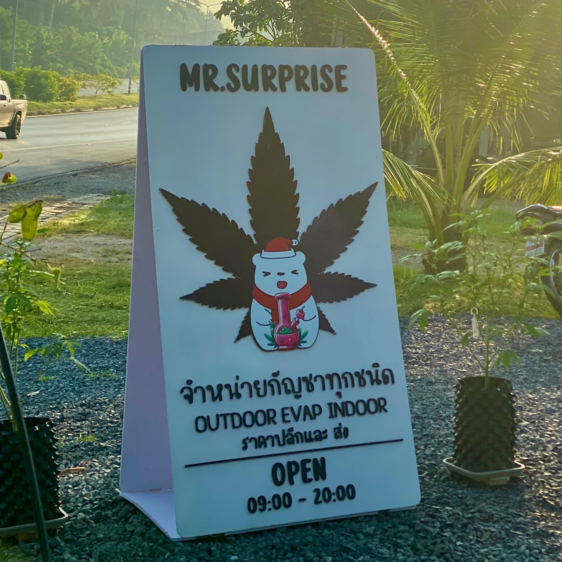 MR.Surprise Cannabis