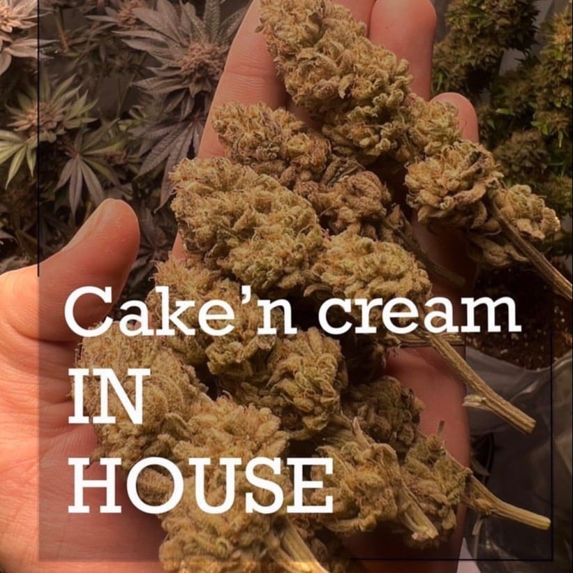 Cannabis Bg