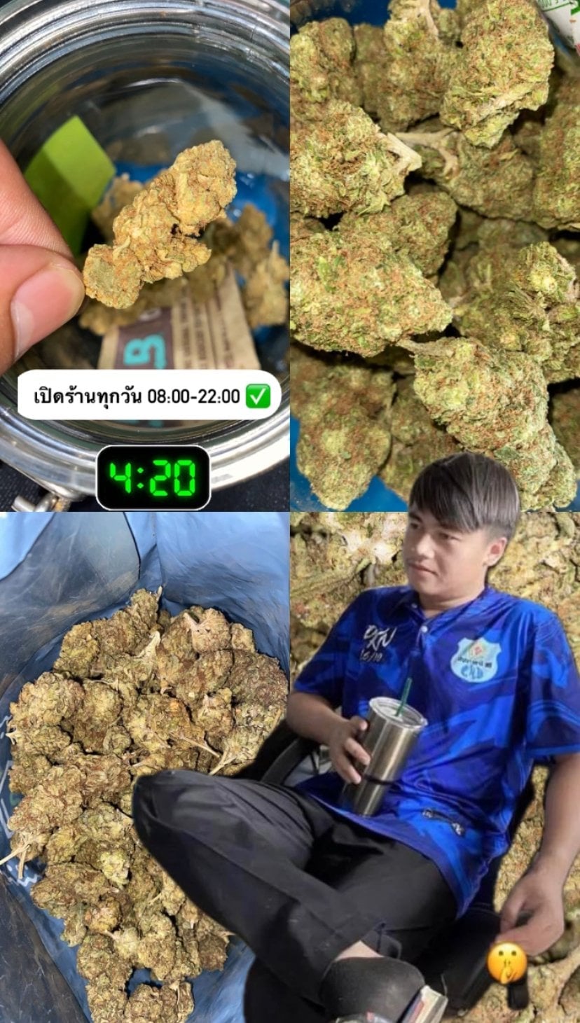 World Cannabis