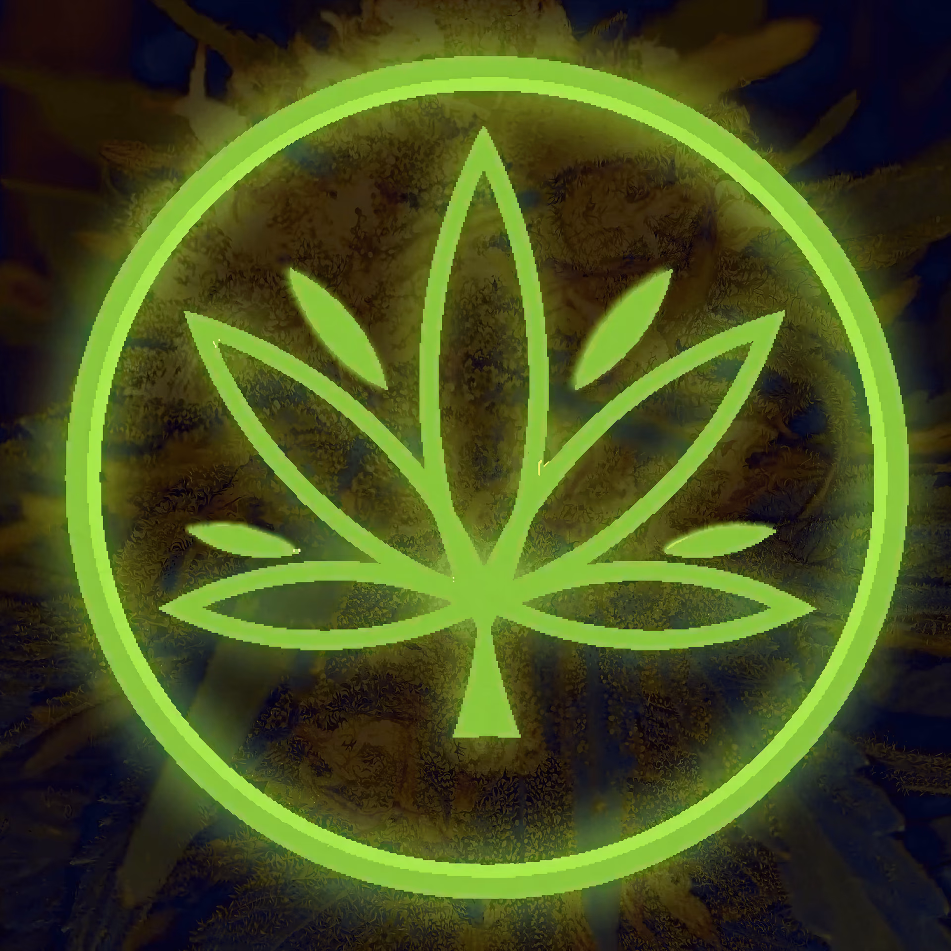Plettenberg Bayの大麻ソーシャルクラブ The Cannaclub ロゴ