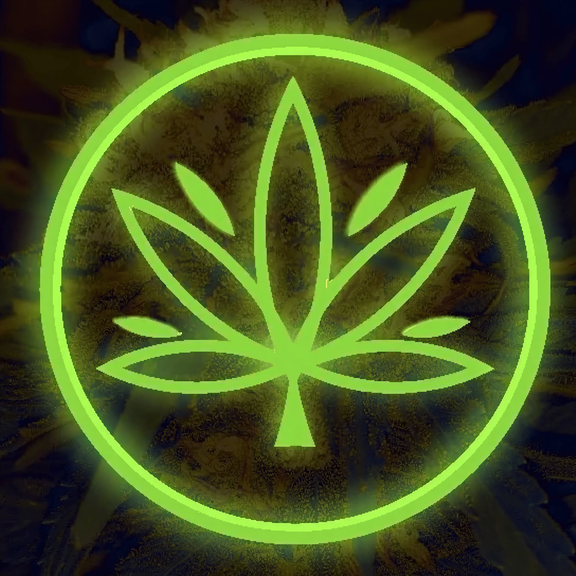 The Cannaclub logo