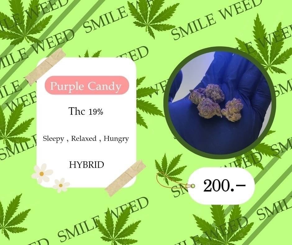 Smileweed)