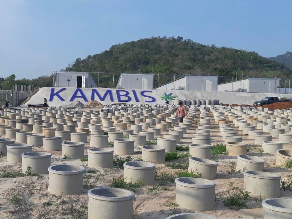Kambis