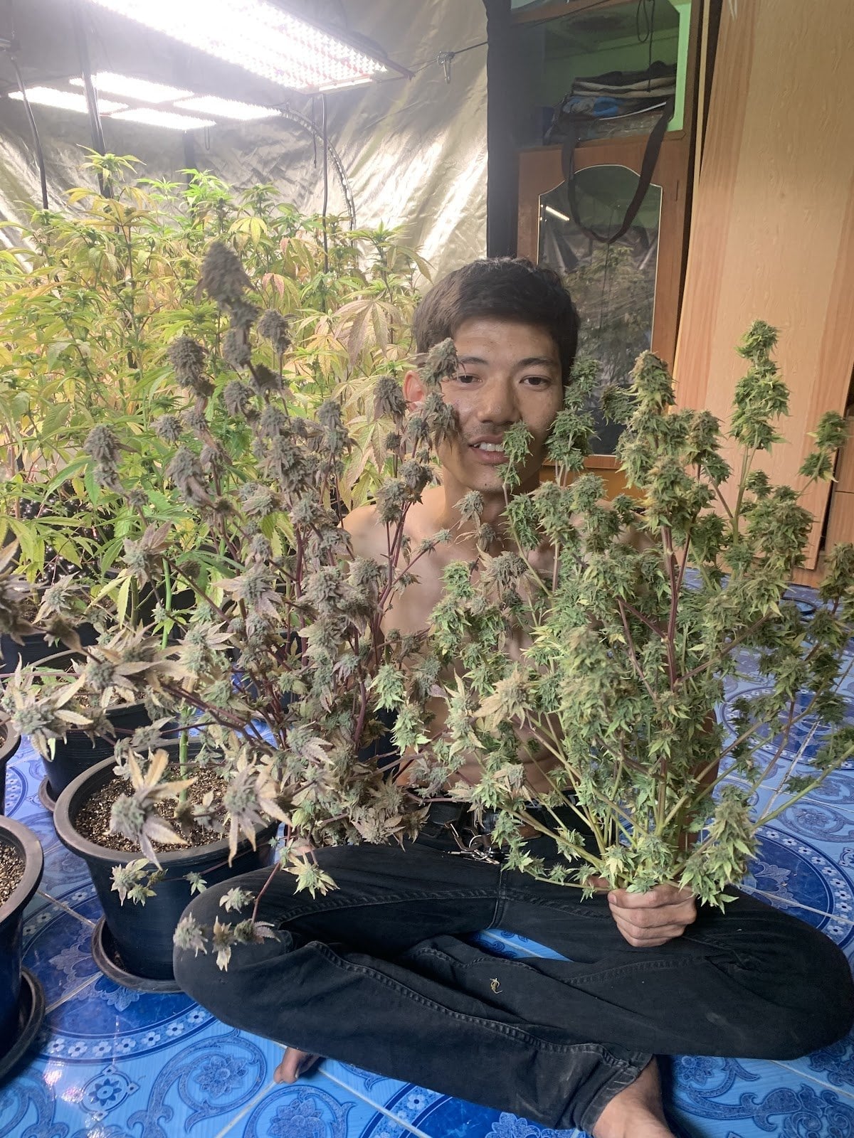 Dispensary1 Weed & Wellness