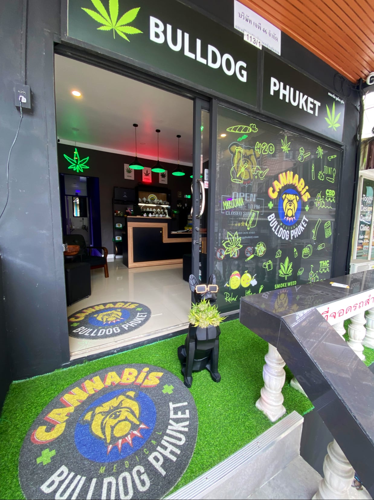 Cannabis Phuket Bulldog