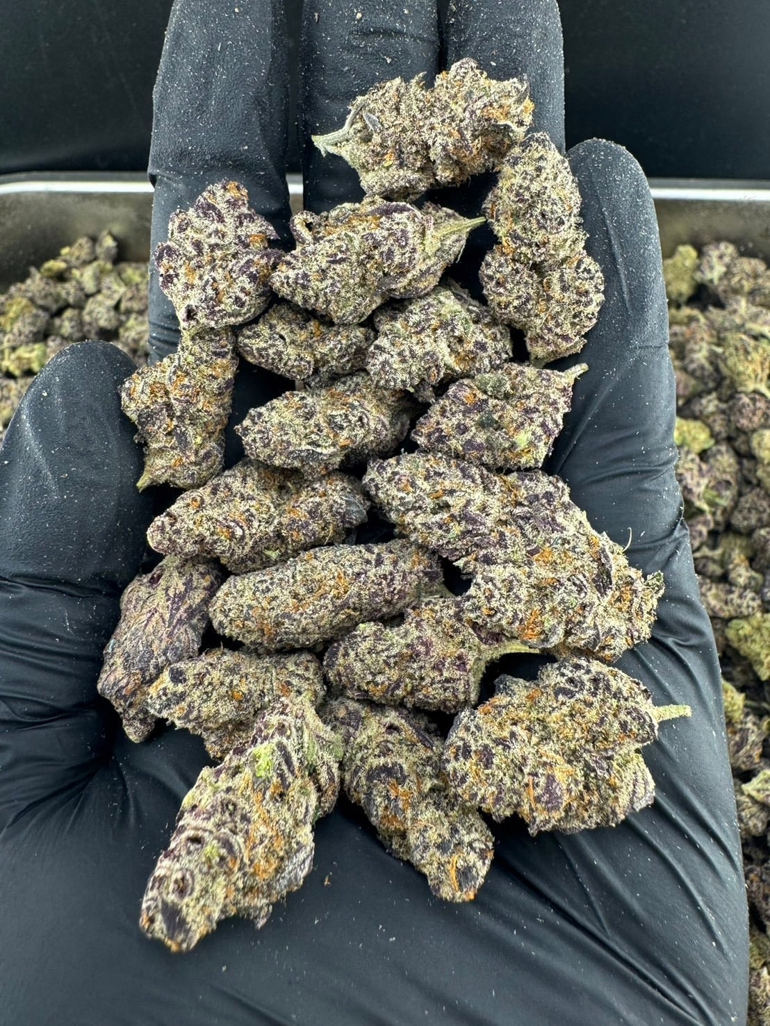 Weed Store Big Buddha