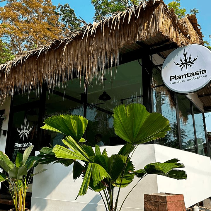 Plantasia Cannabis Weed Shop