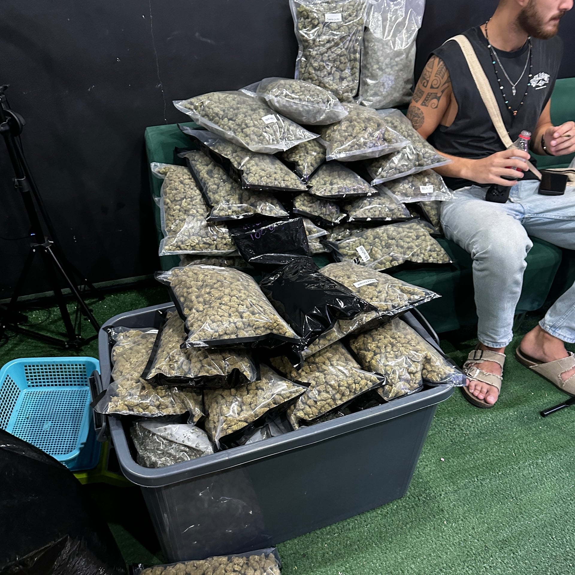 Iq Tr Cannabis Sativa L