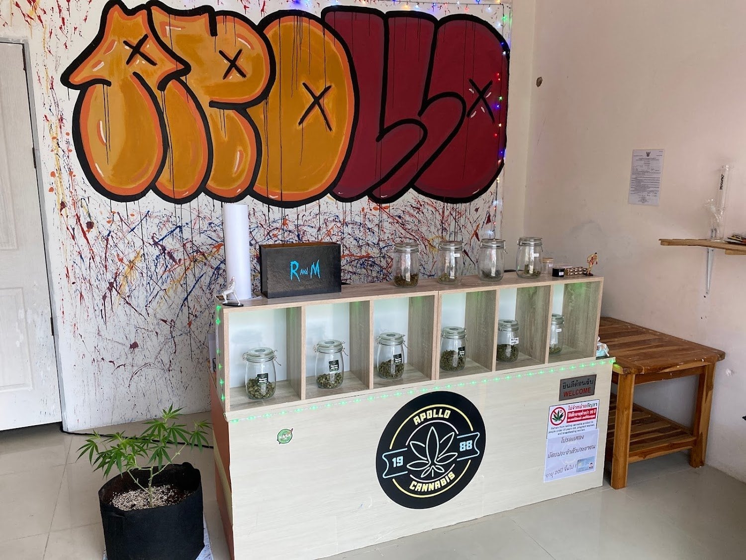 Apollo Cannabis