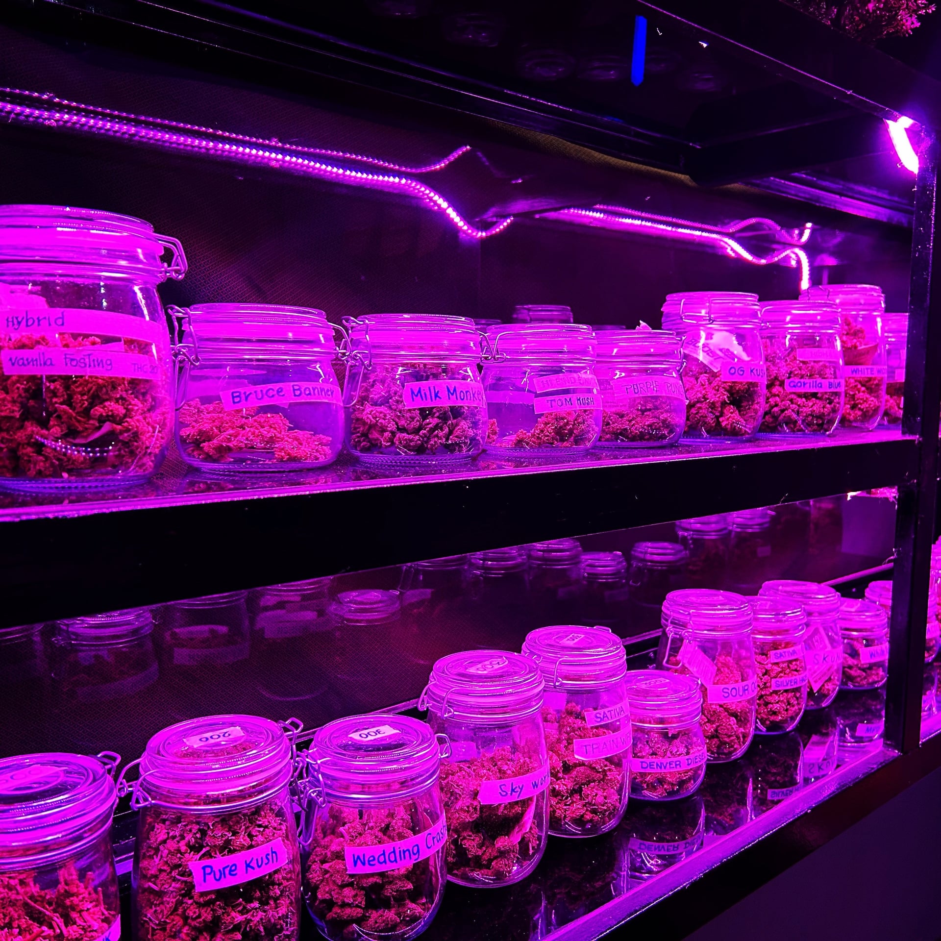 Herb Haven Cannabis