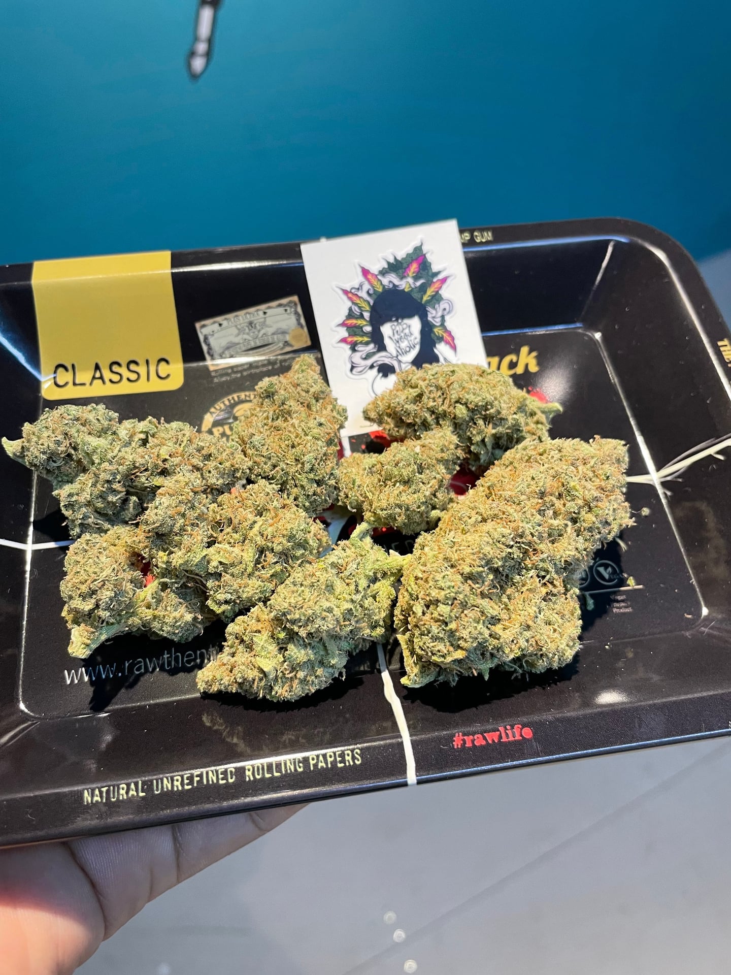 PJB Weed Aholic