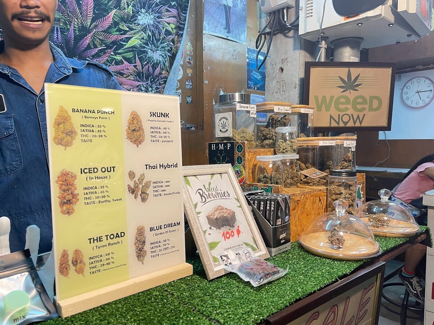 Psyhigh Cannabis