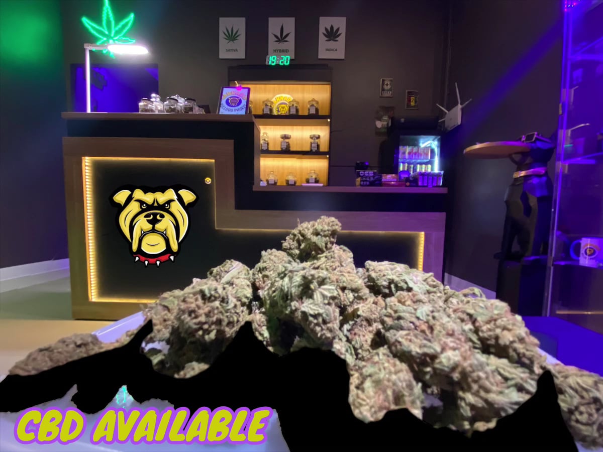Cannabis Phuket Bulldog