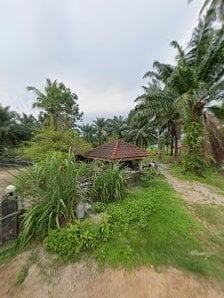 SilaGarden