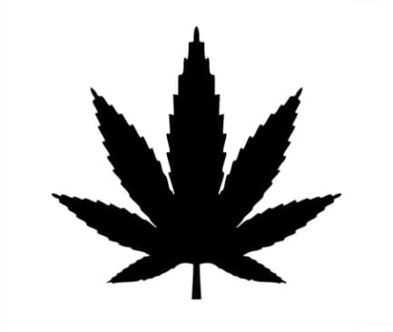 Space Connect Dispensary - Ayutthaya