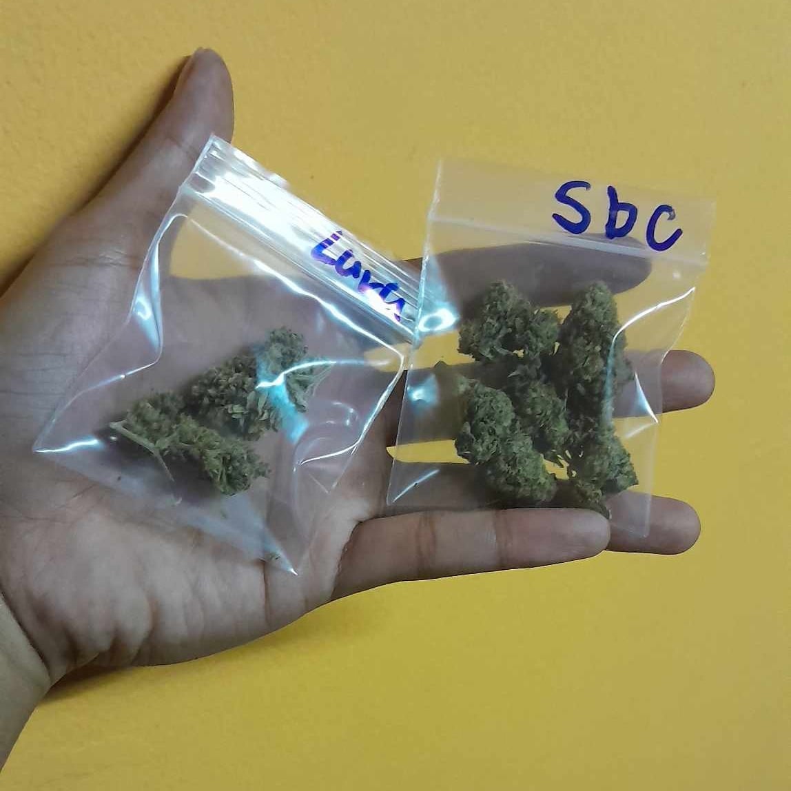 90'S High Cannabis