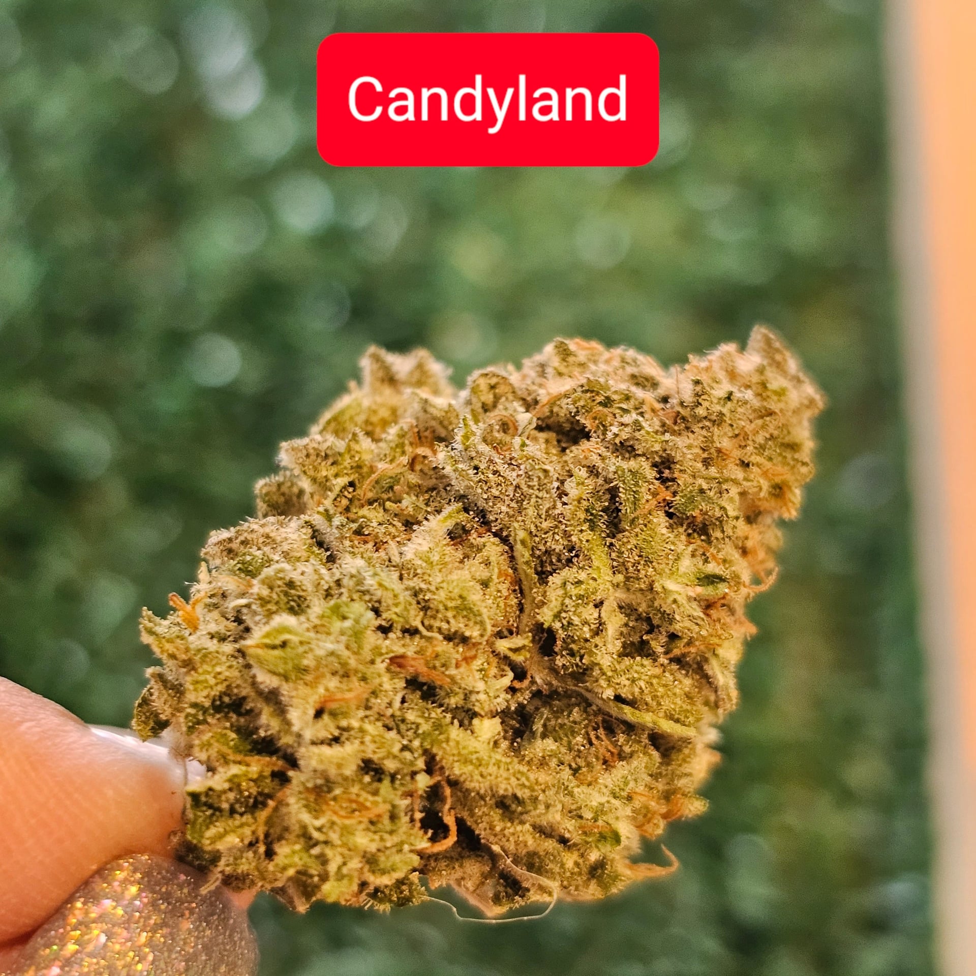 Marijuana Ao-nang