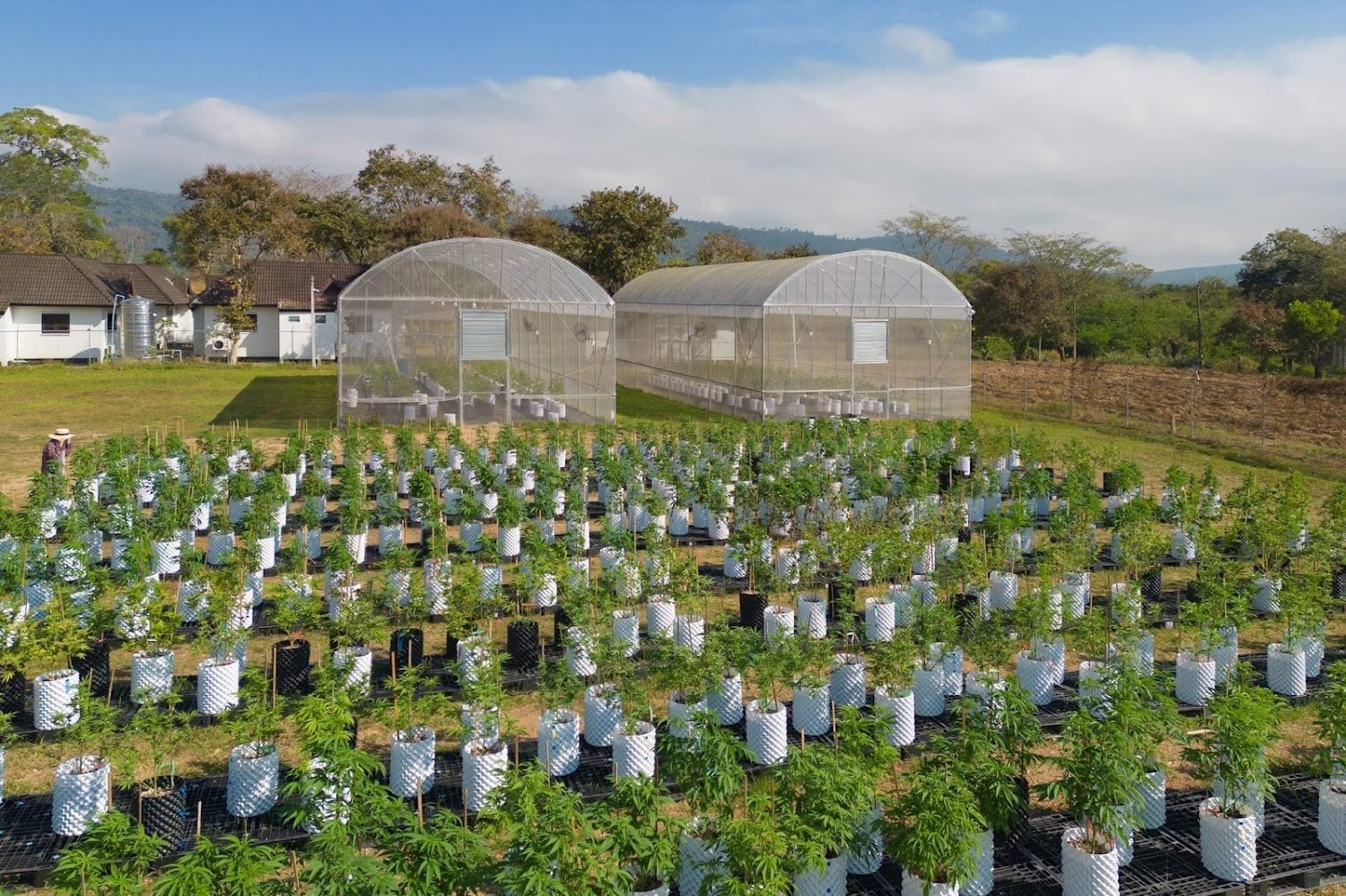 HH Farm