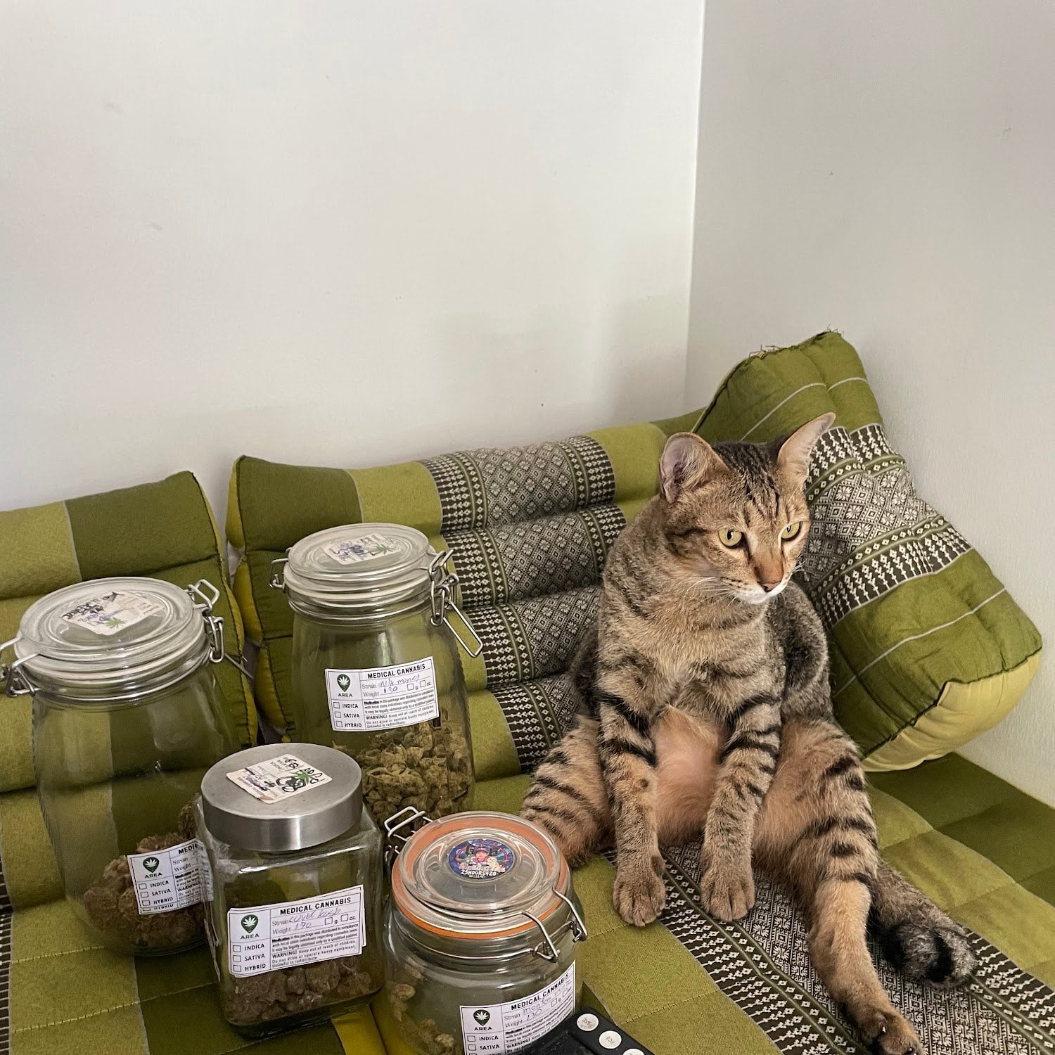 Area Cannabis