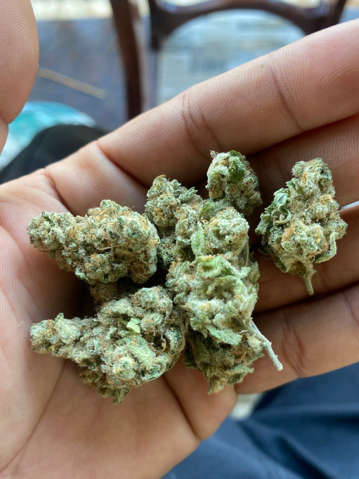 Zenleafshop1