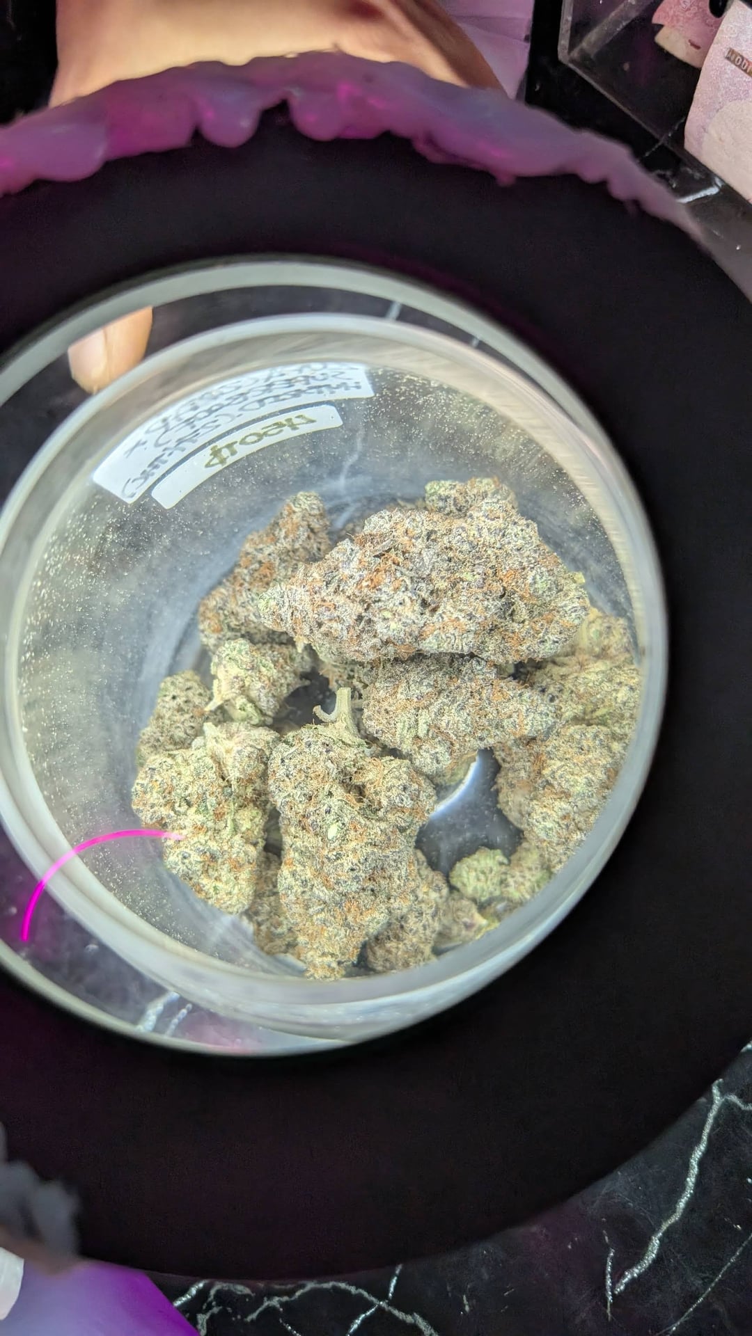 High Dood Coffee Shop Cannabis Cafe