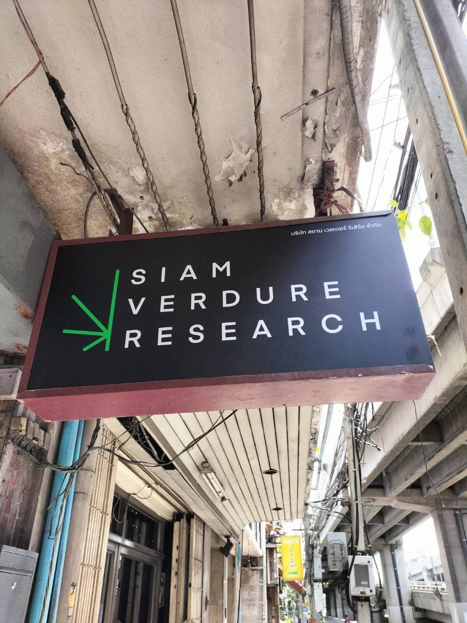 Plern Everyday & Siam Verdure Research