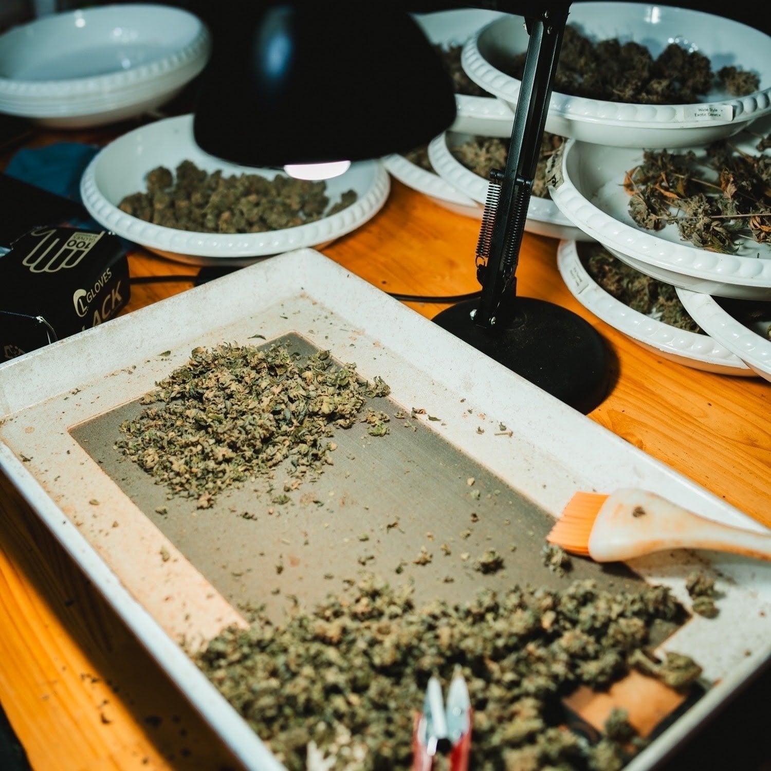 Big Bear Cannabis Shop2